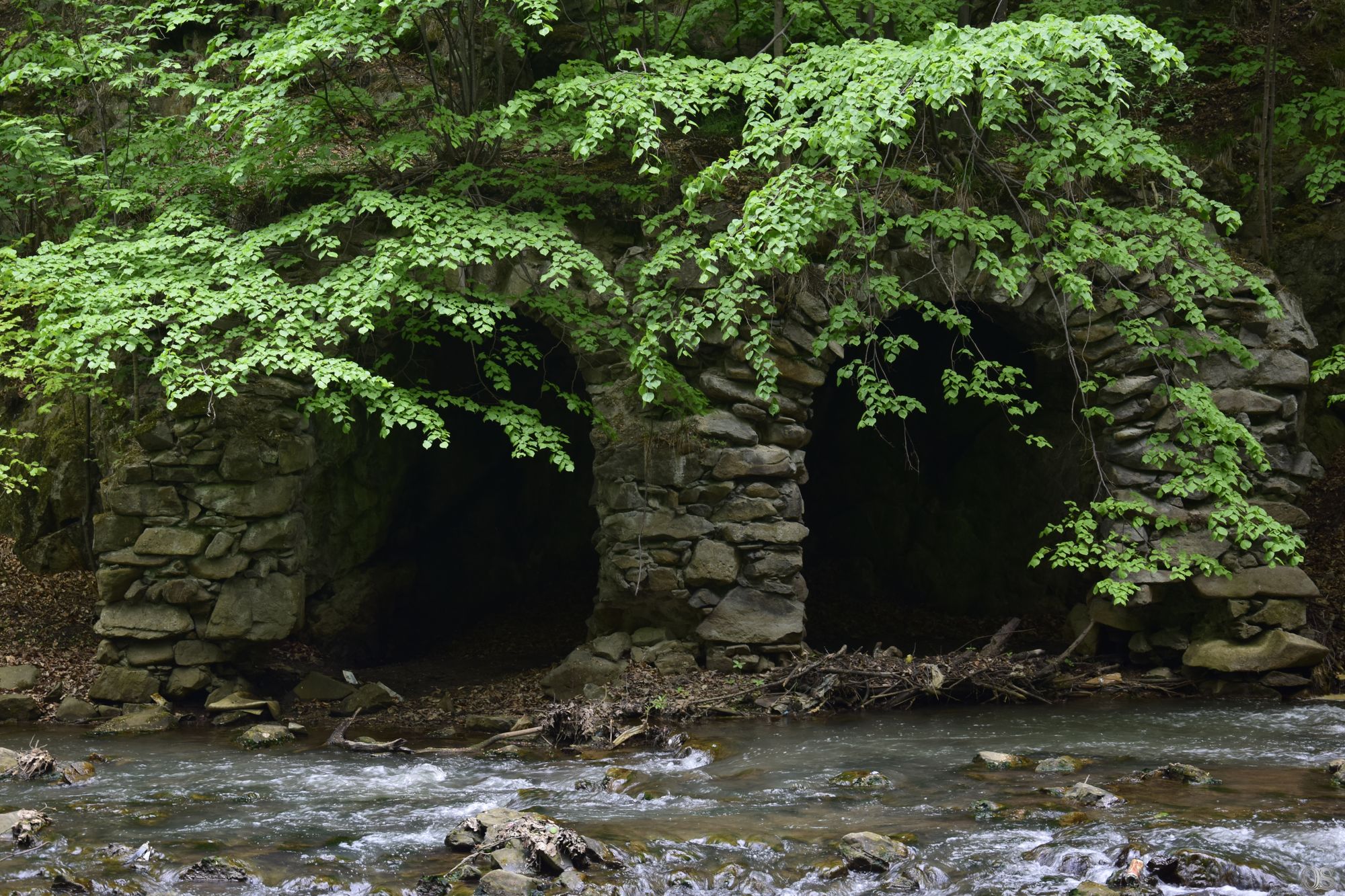 Sciezka Hochbergow 26.jpg